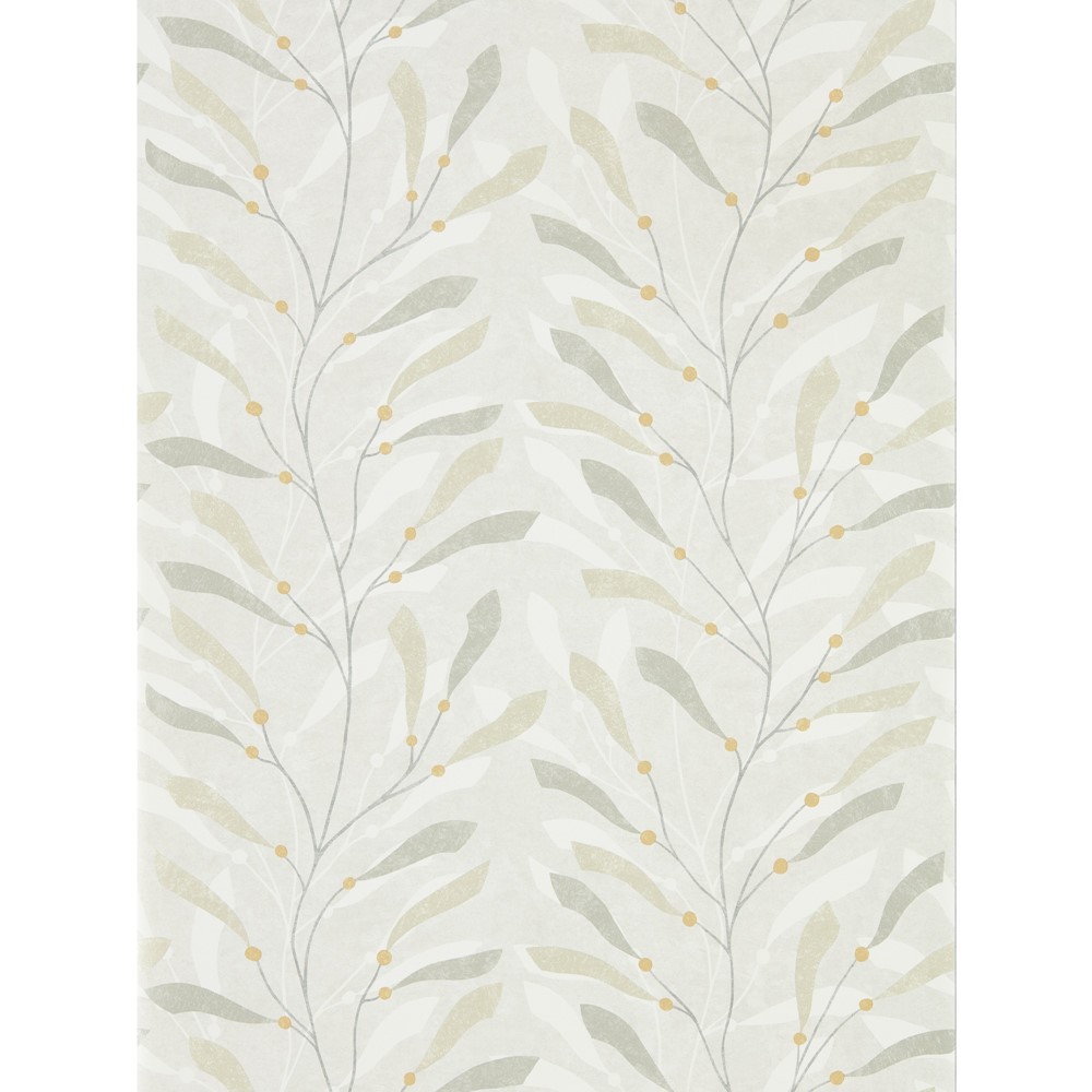 Sea Kelp Wallpaper 216569 by Sanderson in Driftwood Slate